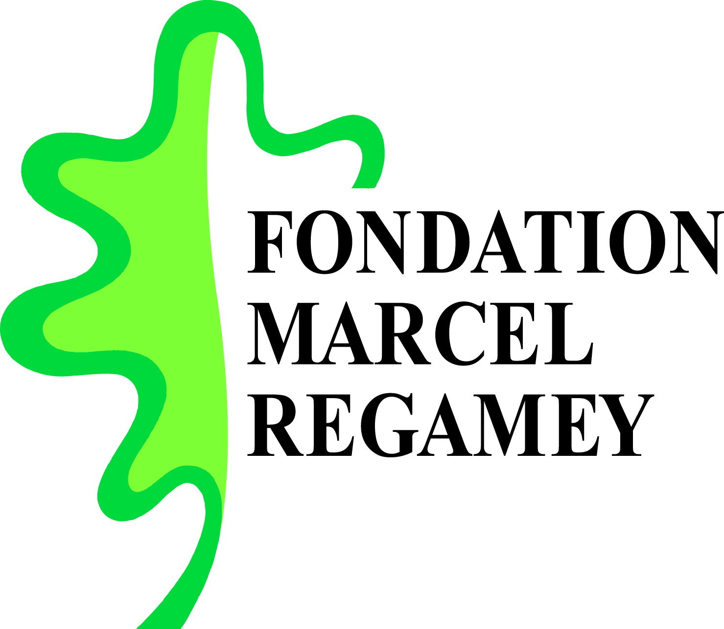 Fondation Regamey